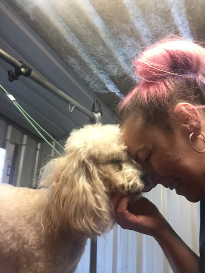 Pampered Pups, Pet Stylist