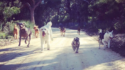 Watch’nWalkies