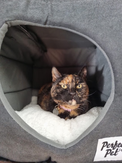 Compass Cattery