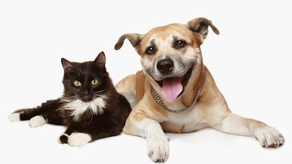 Brunswick Central Vet Clinic