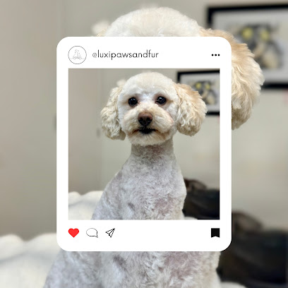 Luxi Paws & Fur