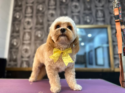 Beanfeet Dog Grooming, Pet Store and Training School Tullamarine