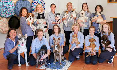 Claremont Veterinary Hospital