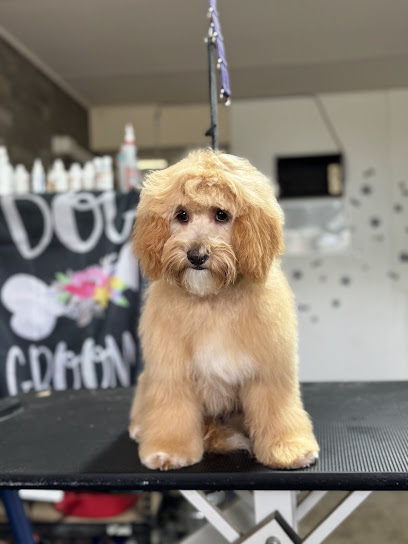 Bella’s Grooming Haven