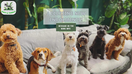 Ruff & Tumble Dog Daycare