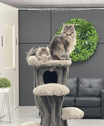 Bayside Cat Resort Pty Ltd