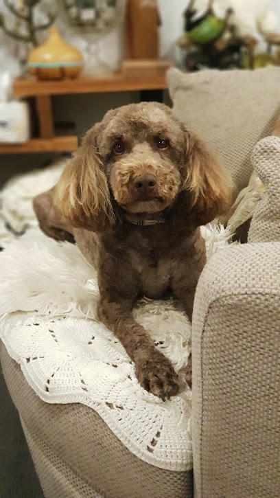 Sandra’s Grooming