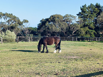 Summer Hill Equestrian Centre