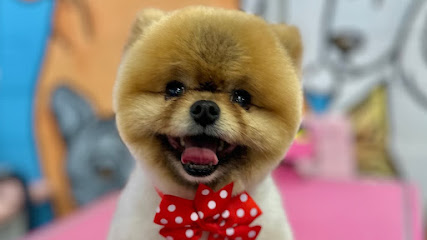AGS Dog Grooming & Dog Grooming School