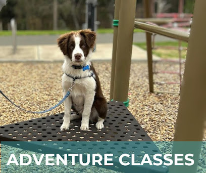 Advance Behavioural Training