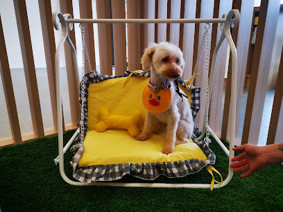 Pet Dream Studio