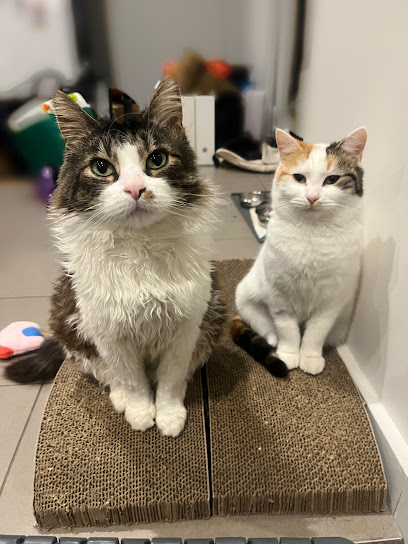Kensington Veterinary Clinic