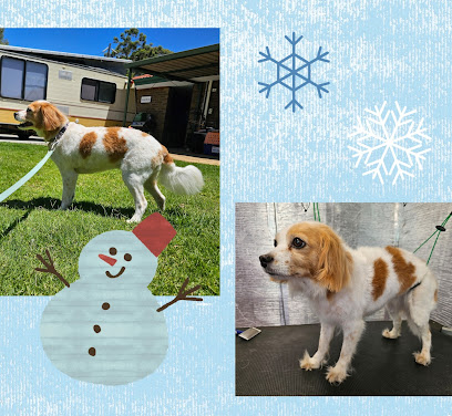 Follow the Dog Grooming