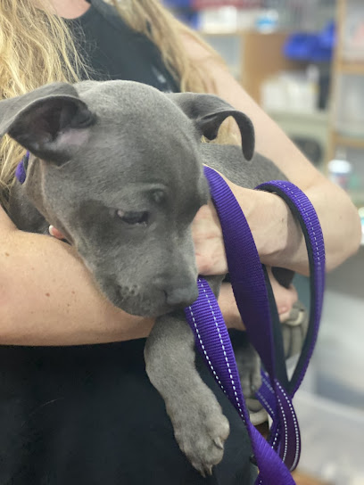 The Puppy Associates