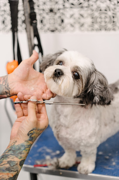 Dog Diversity Grooming School