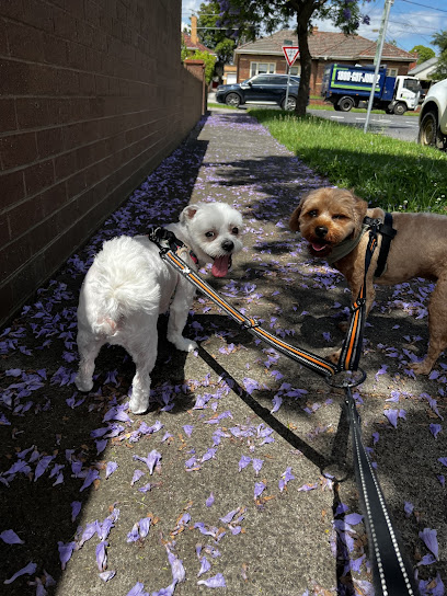 Baja’s Groomer