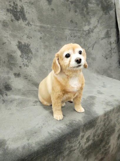 Alphapet Boronia (Previous Boronia Dog & Cat Grooming)