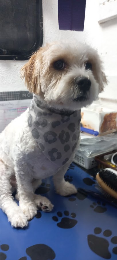 Paw Printz Dog Grooming
