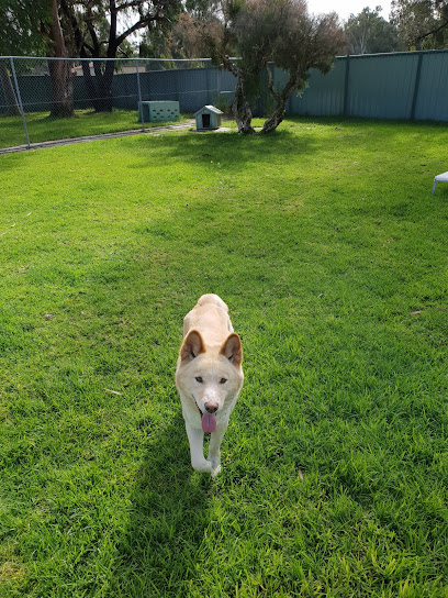 Natural Paws Holistic Pet Care