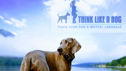 Think Like A Dog