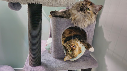 Neko Cat Hotel – Derrimut