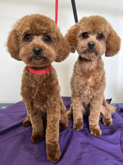 The Barn Dog Grooming Salon