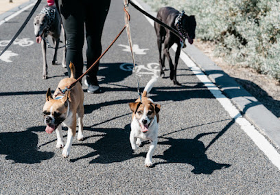 St. Roch Dog Walking & Lifestyle
