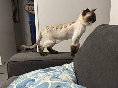 The Cat Salon