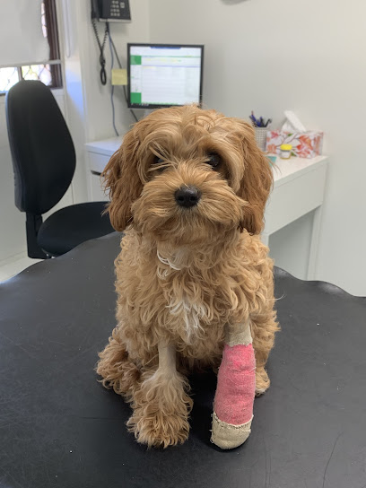 Chirnside Park Veterinary Clinic