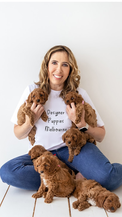 Designer Puppies Melbourne