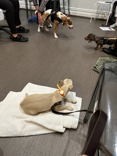 The Vet Connection East Fremantle