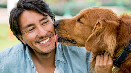 Celestials Pet Cremation Service