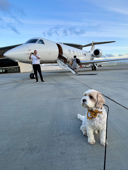 Skye Pet Travel