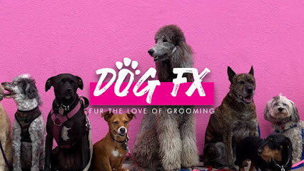 Dog FX – Dog Grooming & Daycare (Prospect)