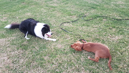 Master and Hound Dog Training And Behaviour Pakenham
