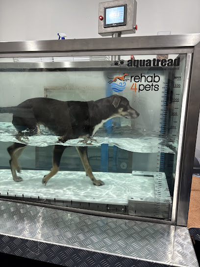 rehab 4 pets