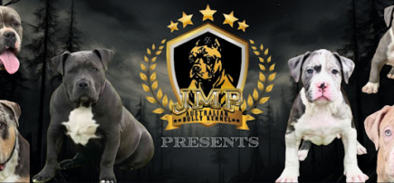 JMP Bully Kennel