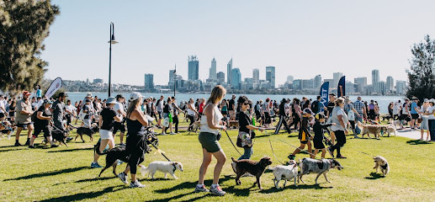 RSPCA WA