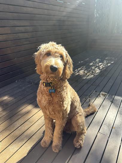 Shabby To Chic Groomers