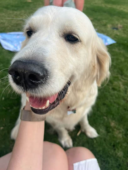 Fetch Mobile Vets