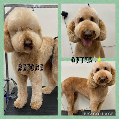Opie & Friends Dog Grooming
