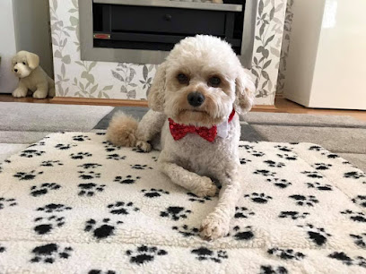 Michelle’s CLIP N SNIP Dog Grooming