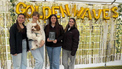 Golden Waves Dog Grooming