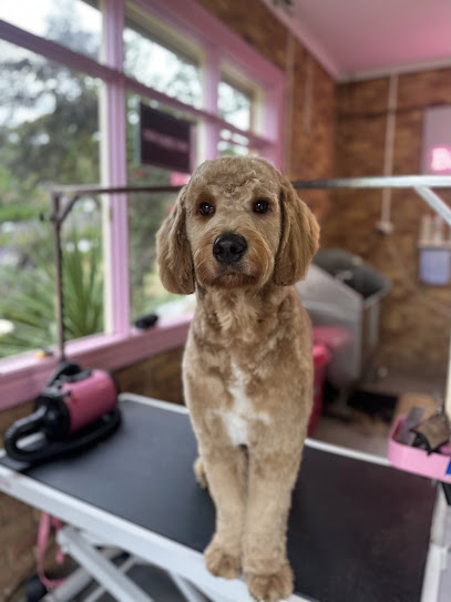 The Bark Yard Dog Grooming