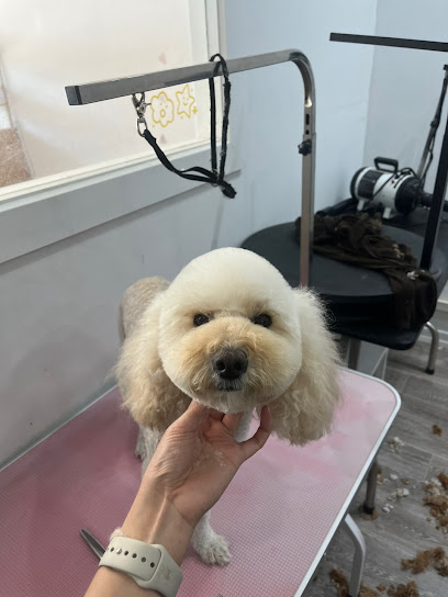 Doggy World