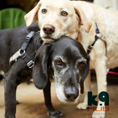 K9hub
