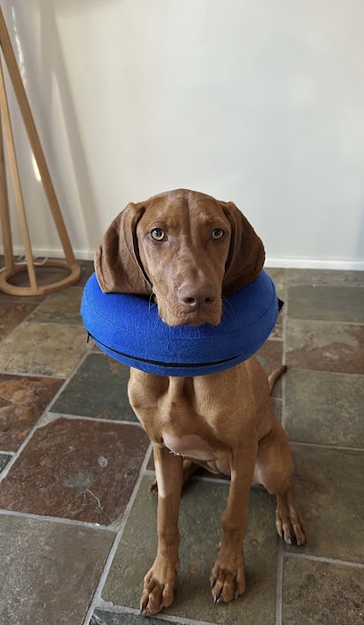 Shelley Veterinary Clinic