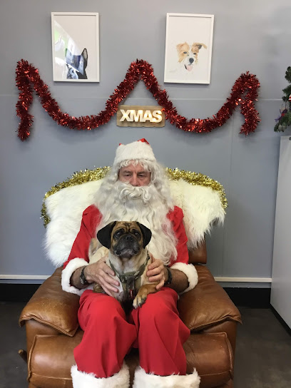 Bentleigh Veterinary Clinic