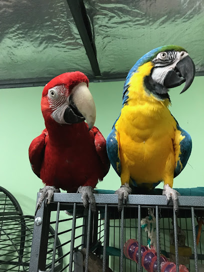 Paws Claws and Beaks Retreat