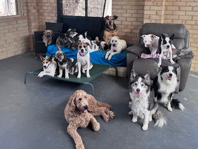 A dogs world matters